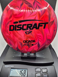Custom Dyed Red Lightweight ESP Cicada - One of One